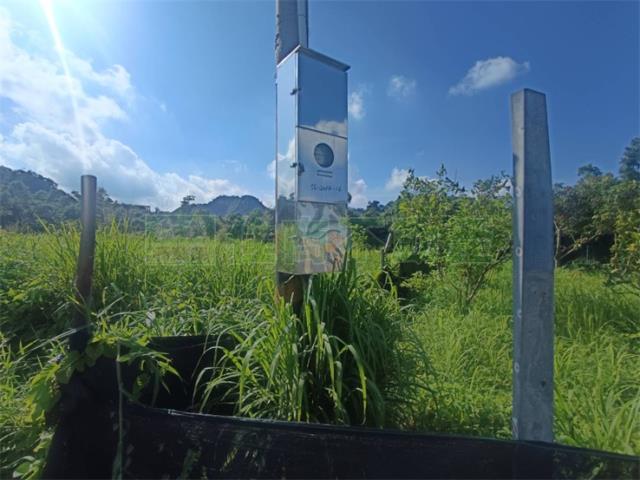 高雄大社農地-13