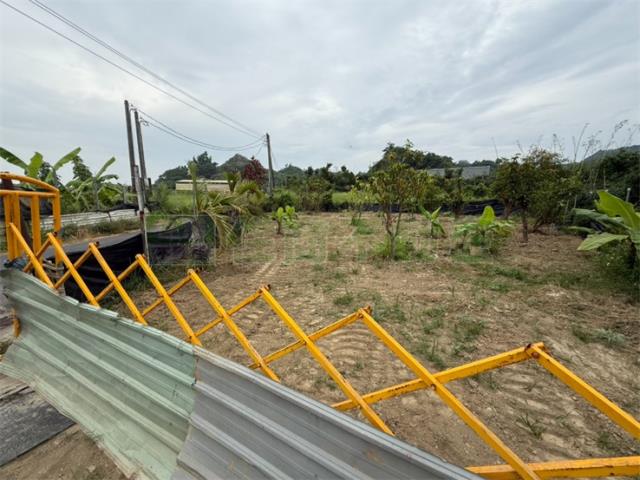 高雄大社農地-1