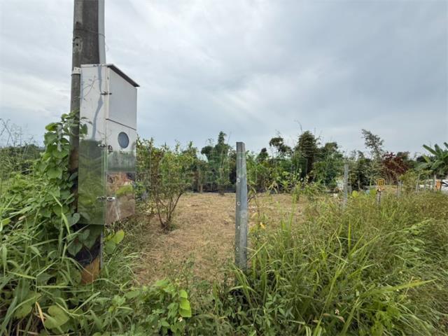 高雄大社農地-8