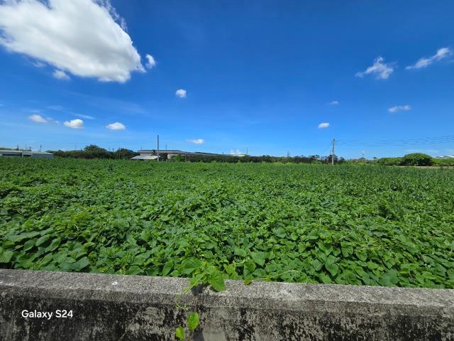 高雄農地-4