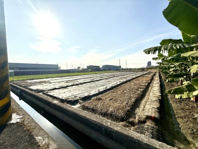 大寮農地-3
