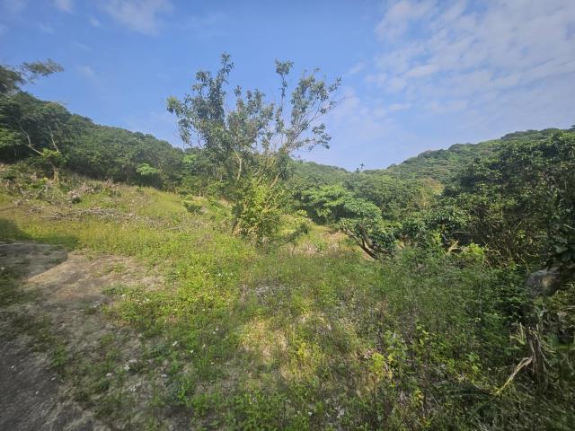 高雄大樹農地-0