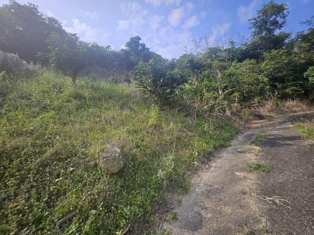 高雄大樹農地-2