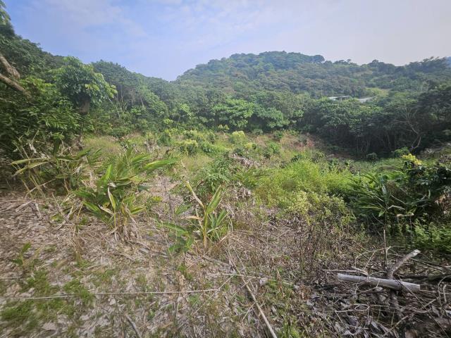 高雄大樹農地-3