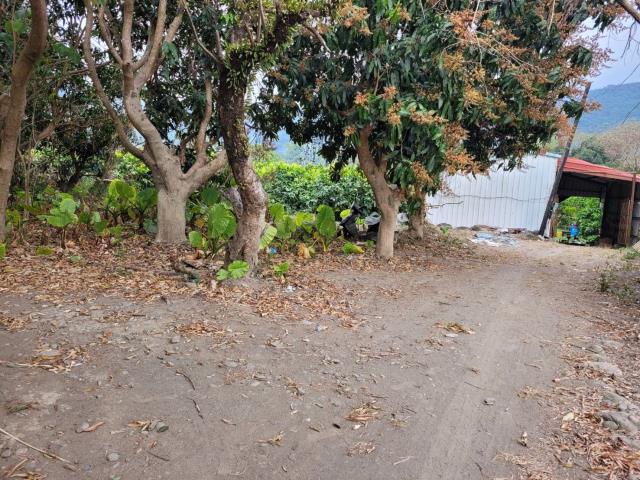 高雄六龜農地-10