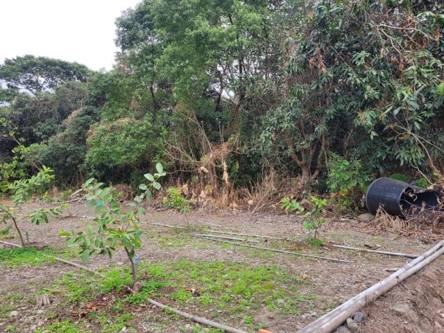 高雄六龜農地-2