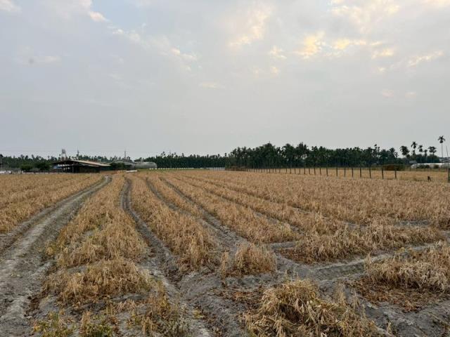 屏東市農地-4