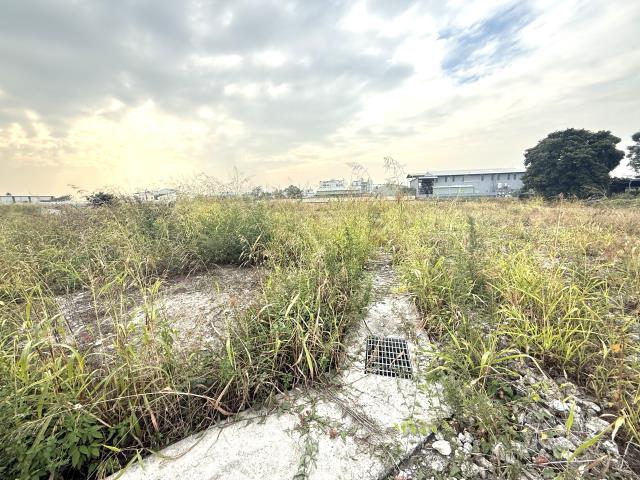 屏東市建地-6