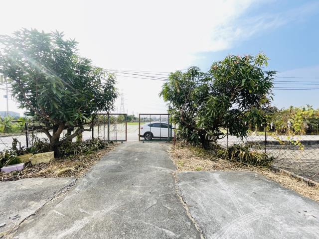 高雄大寮農地-3
