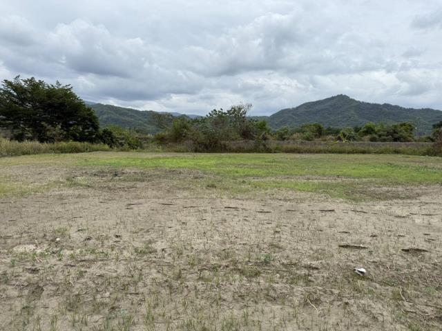 高雄美濃農地-6