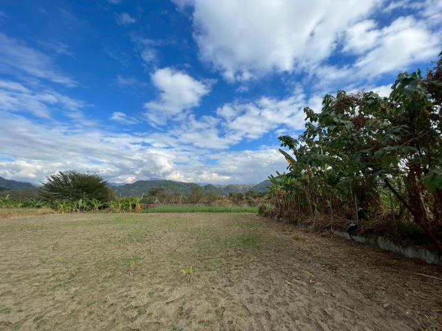 高雄美濃農地-3