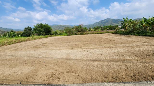 高雄美濃農地-3