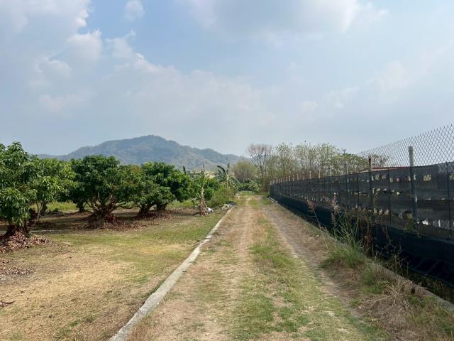 高雄美濃農地-6