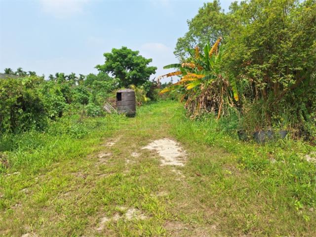 屏東竹田農地-5