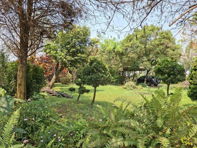 高雄美濃農地-9