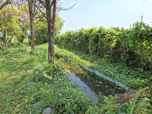 高雄美濃農地-11