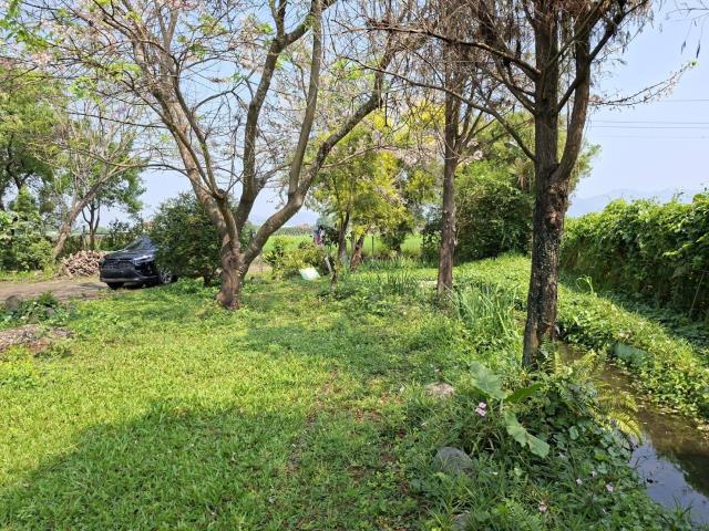 高雄美濃農地-13