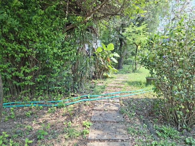 高雄美濃農地-3