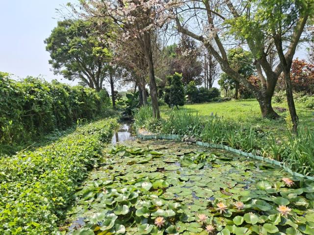 高雄美濃農地-5