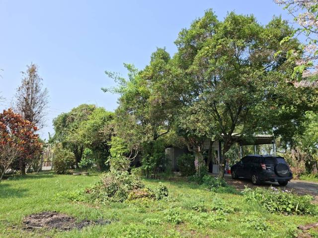 高雄美濃農地-7