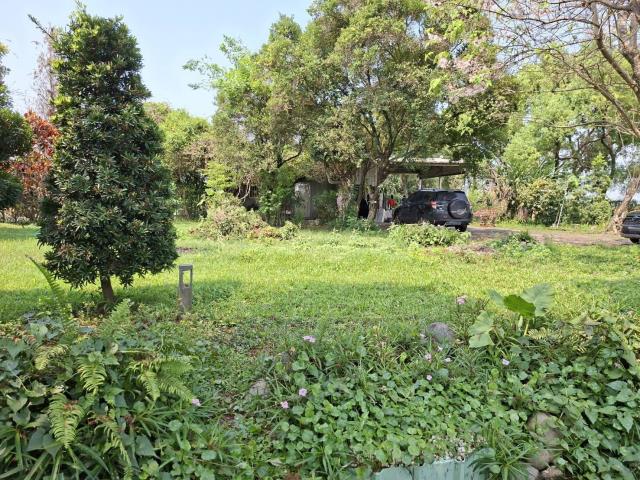 高雄美濃農地-8