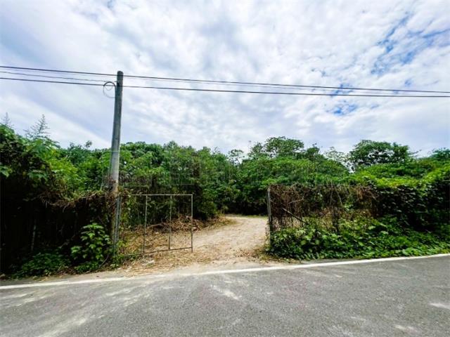 屏東竹田農地-4