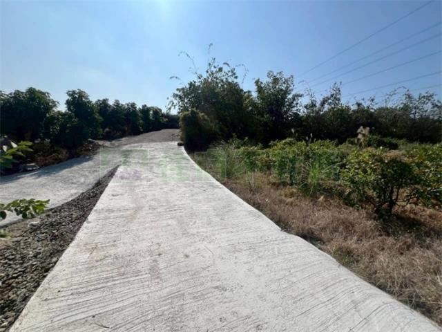 高雄燕巢農地-9