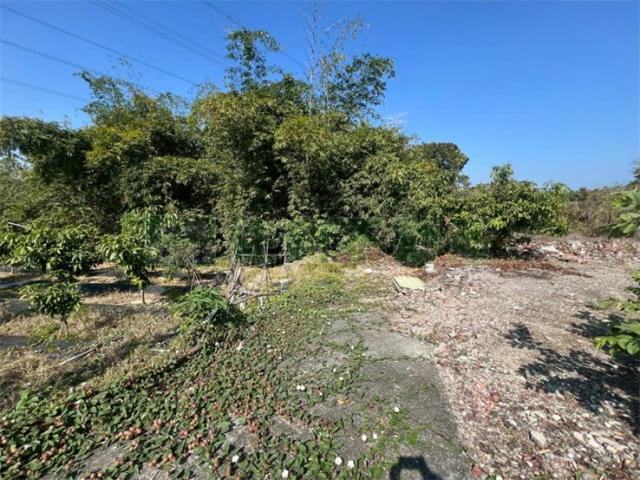 高雄燕巢農地-12