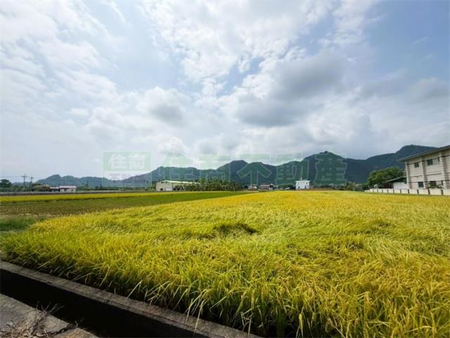 高雄美濃農地-9