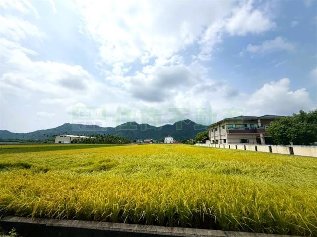 高雄美濃農地-1