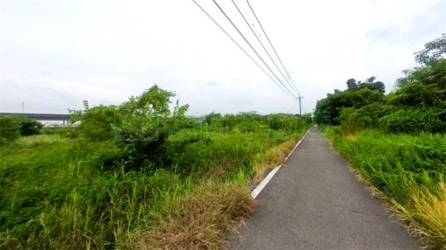 阿蓮農地-0