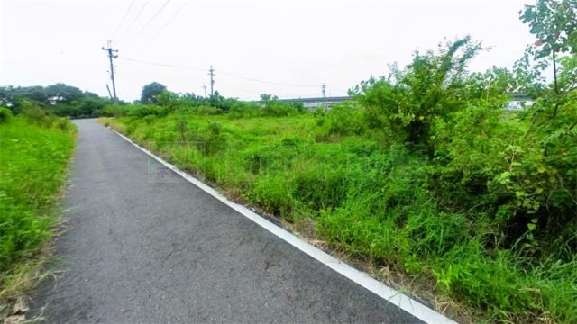 阿蓮農地-2