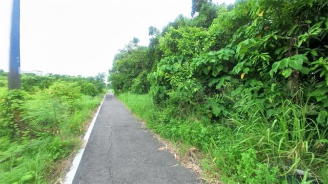 阿蓮農地-3