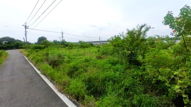 阿蓮農地-6