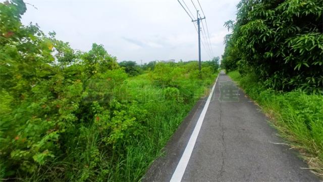 阿蓮農地-7