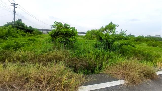 阿蓮農地-8